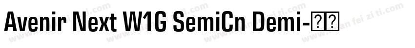 Avenir Next W1G SemiCn Demi字体转换